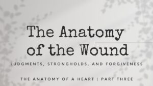 The Anatomy of a Heart | Night Three